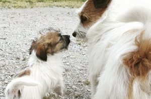 Foto Gallery chi siamo 3