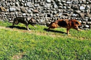 foto Gallery Chi siamo 4