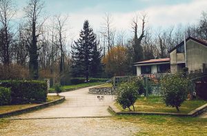 Foto Gallery Pensione ed Asilo 5