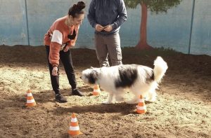 Foto Gallery corso di Educazione 6