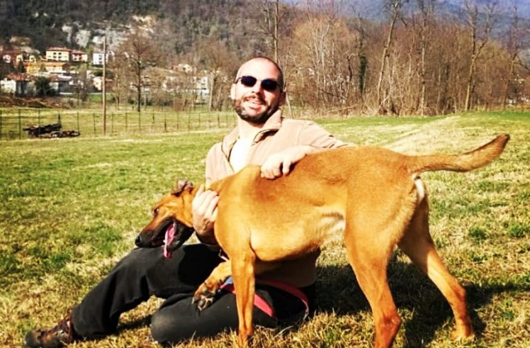 Allevamento per cani e Pensione cani e gatti Como Lombardia