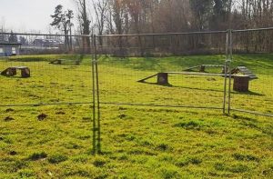 foto Gallery Corso di Educazione 3